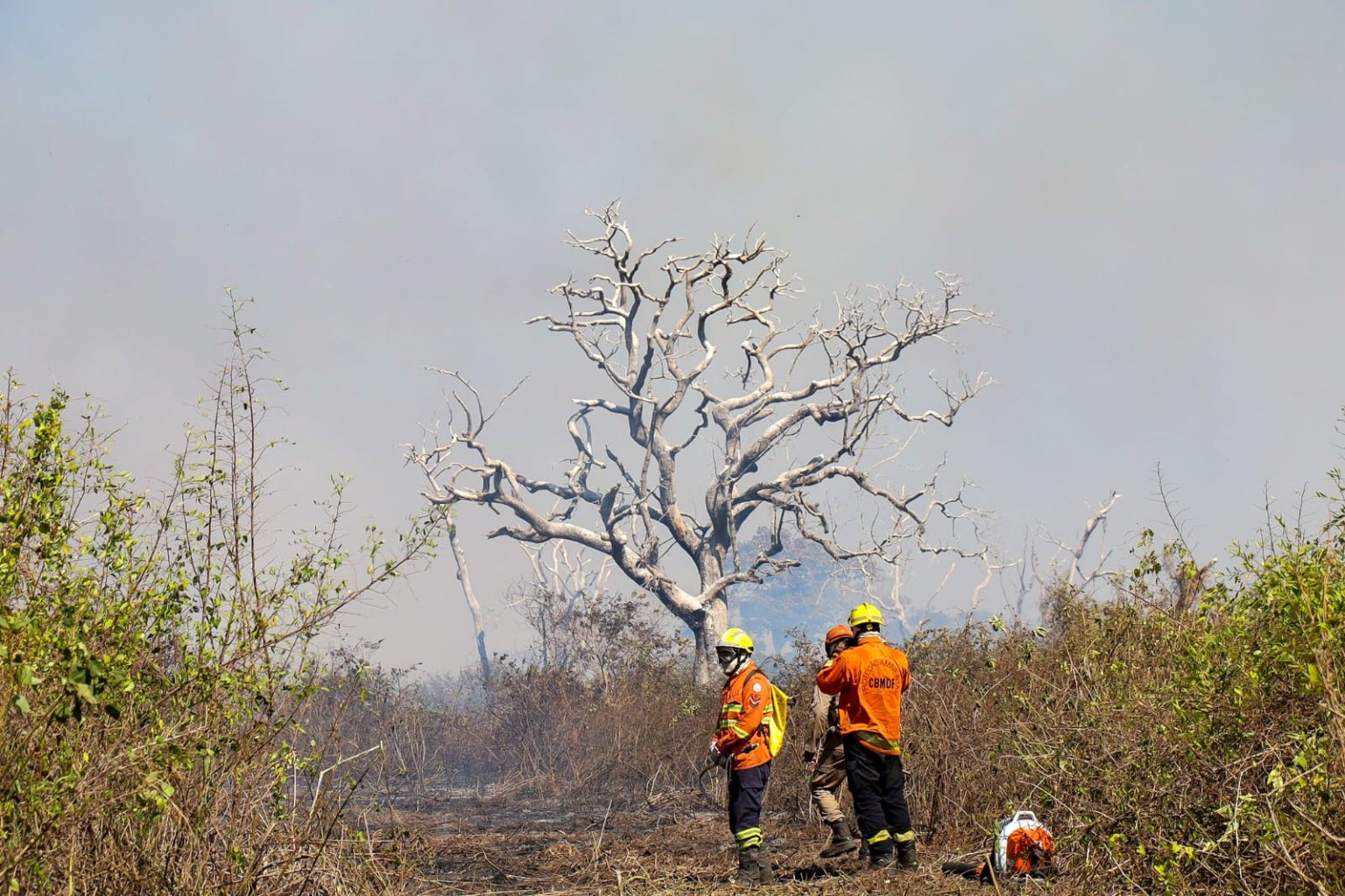 Operacao-Pantanal-Foto-Alvaro-Rezende-09-1536x1024
