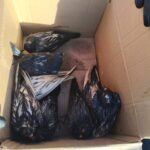Polícia Militar atende ocorrência de maus-tratos envolvendo cerca de 60 pombos em Maracaju