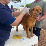 Prefeitura de Maracaju promove Semana de Conscientização e Combate à Leishmaniose com ações de prevenção e cuidado com animais