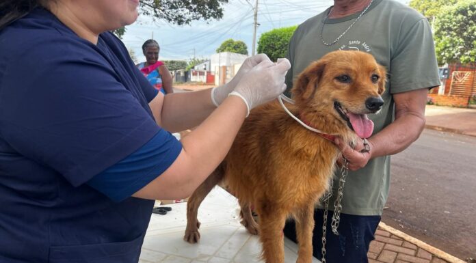 Prefeitura de Maracaju promove Semana de Conscientização e Combate à Leishmaniose com ações de prevenção e cuidado com animais