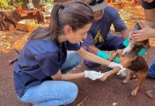 Campanha Antirrábica imuniza mais de mil animais na zona rural de Maracaju